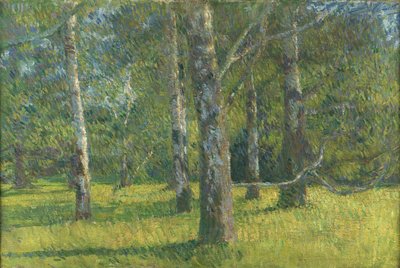Betulle a Laxenburg da Matija Jama